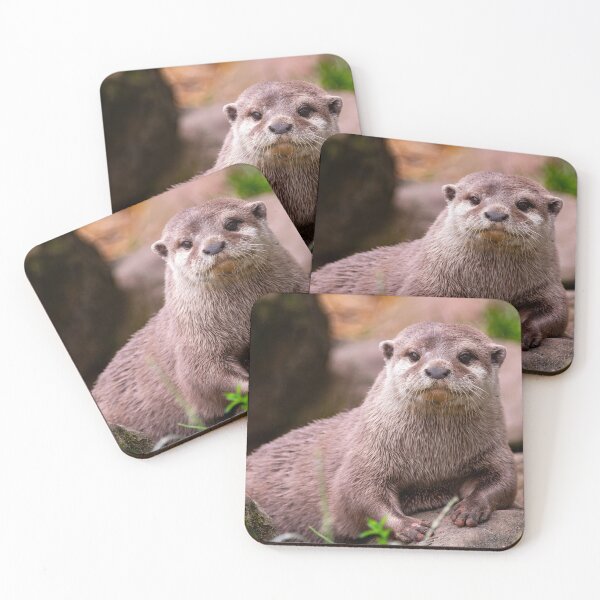 Item preview, Otter designed and sold by Tetzaoh.