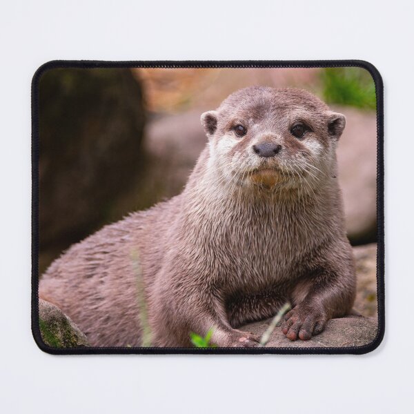 Item preview, Otter designed and sold by Tetzaoh.