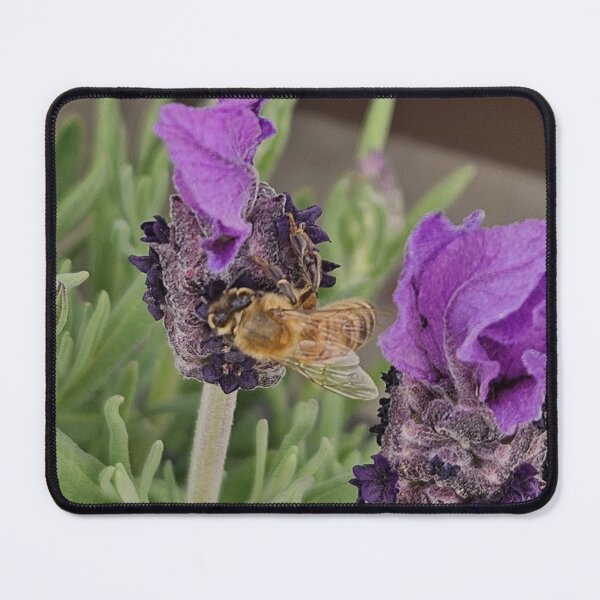 Item preview, bee on lavender designed and sold by Lizzilzil.