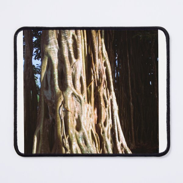 Item preview, Ancient Roots, Living Wisdom | Banyan Tree Magic designed and sold by Quantum-Life.