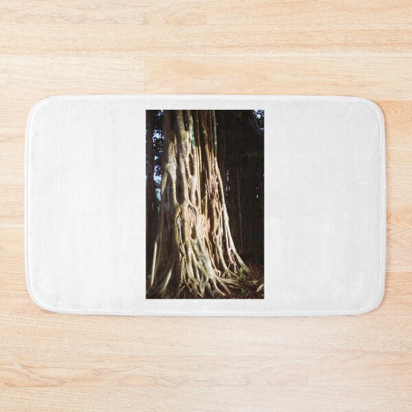 Item preview, Ancient Roots, Living Wisdom | Banyan Tree Magic designed and sold by Quantum-Life.