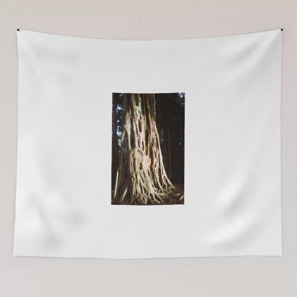 Item preview, Ancient Roots, Living Wisdom | Banyan Tree Magic designed and sold by Quantum-Life.