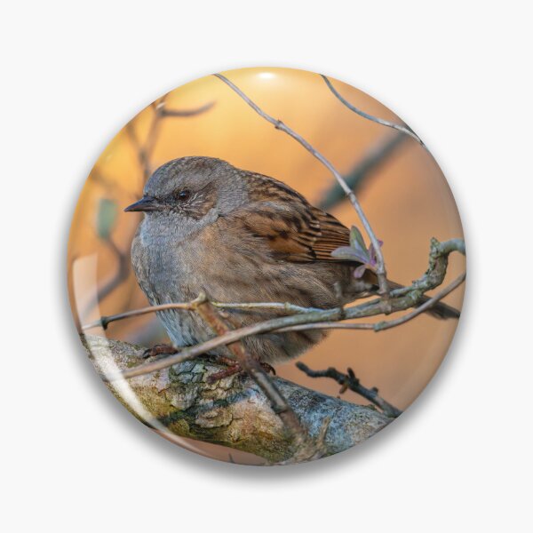 Item preview, Dunnock designed and sold by Tetzaoh.