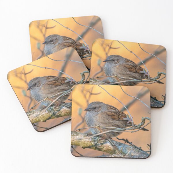 Item preview, Dunnock designed and sold by Tetzaoh.