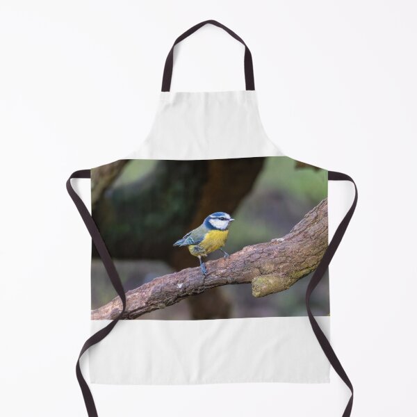 Item preview, Blue Tit designed and sold by Tetzaoh.
