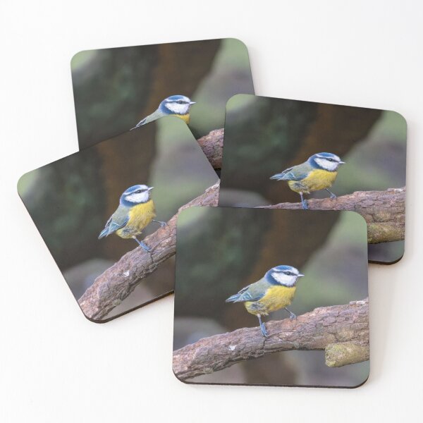 Item preview, Blue Tit designed and sold by Tetzaoh.