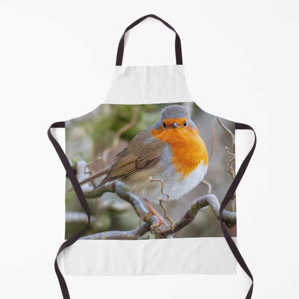 Item preview, Robin designed and sold by Tetzaoh.