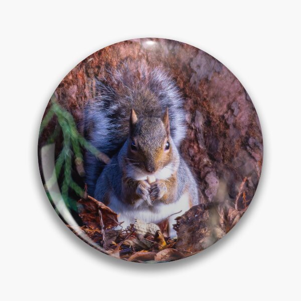 Item preview, Grey Squirrel designed and sold by Tetzaoh.