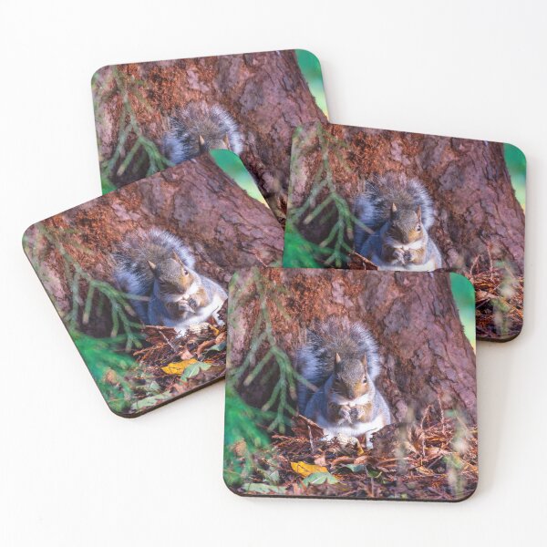 Item preview, Grey Squirrel designed and sold by Tetzaoh.