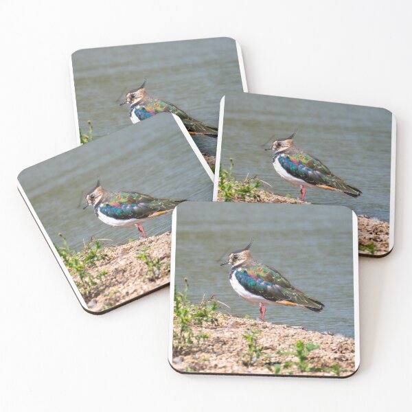 Item preview, Lapwing designed and sold by Tetzaoh.