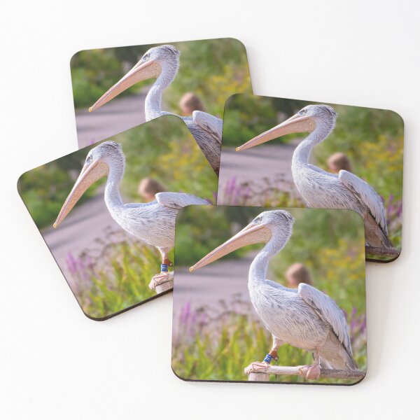 Item preview, Pelican "Sprout" designed and sold by Tetzaoh.