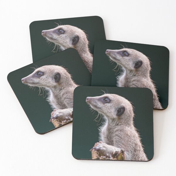 Item preview, Meerkat designed and sold by Tetzaoh.