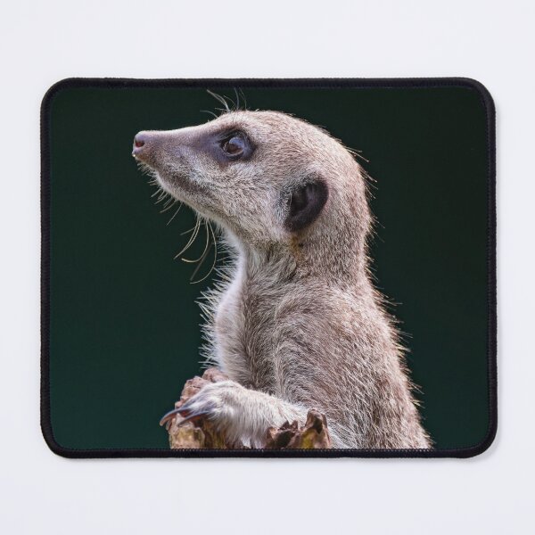 Item preview, Meerkat designed and sold by Tetzaoh.