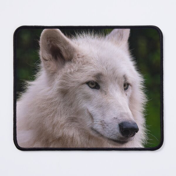 Item preview, Arctic Fox designed and sold by Tetzaoh.