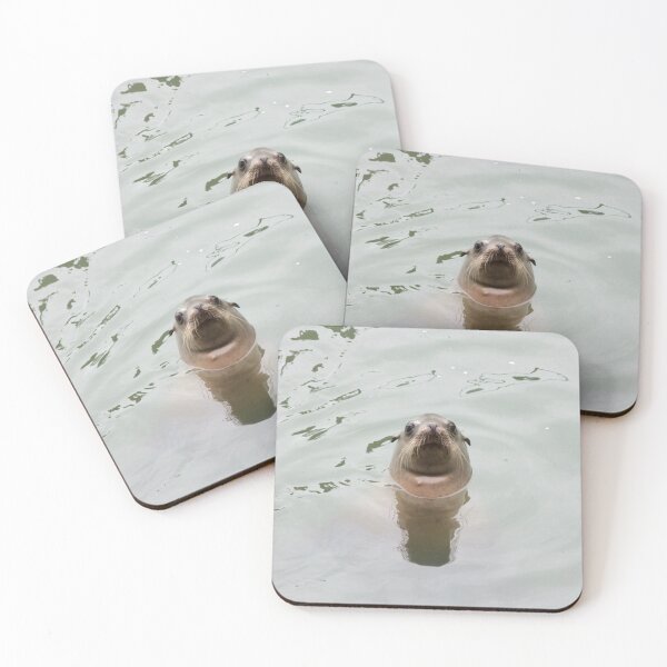 Item preview, Silly sea lion at the coast  designed and sold by RaysOfSunlight.