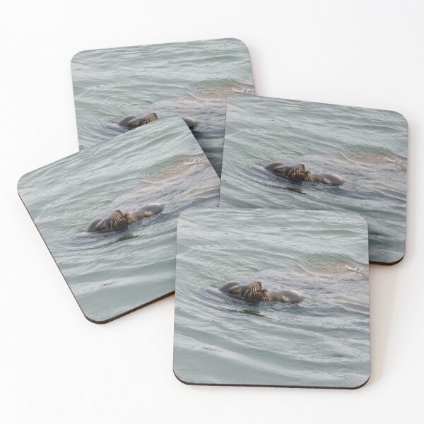 Item preview, Sea lions kissing at the coast  designed and sold by RaysOfSunlight.