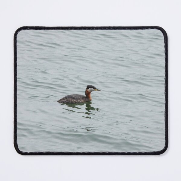 Item preview, Red necked grebe at the coast designed and sold by RaysOfSunlight.