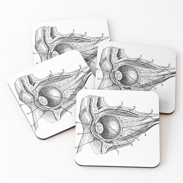 Item preview, Eye section - vintage anatomical book illustration - dead things designed and sold by Fantasy Cache.