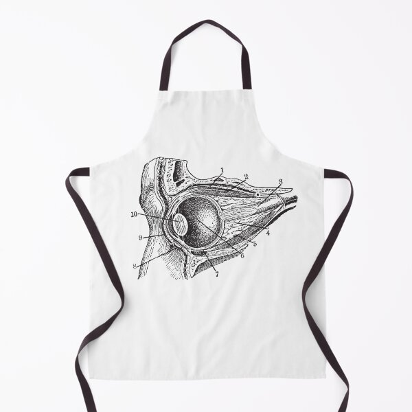 Item preview, Eye section - vintage anatomical book illustration - dead things designed and sold by Fantasy Cache.