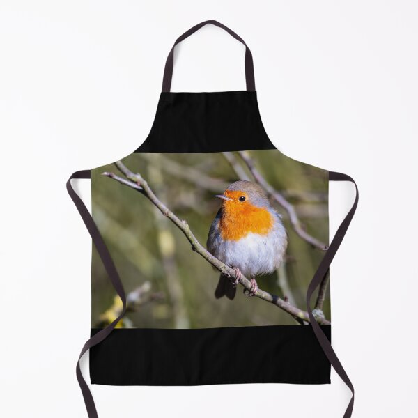Item preview, Robin designed and sold by Tetzaoh.