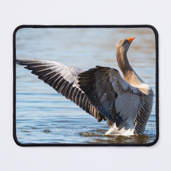 Item preview, Greylag Goose designed and sold by Tetzaoh.