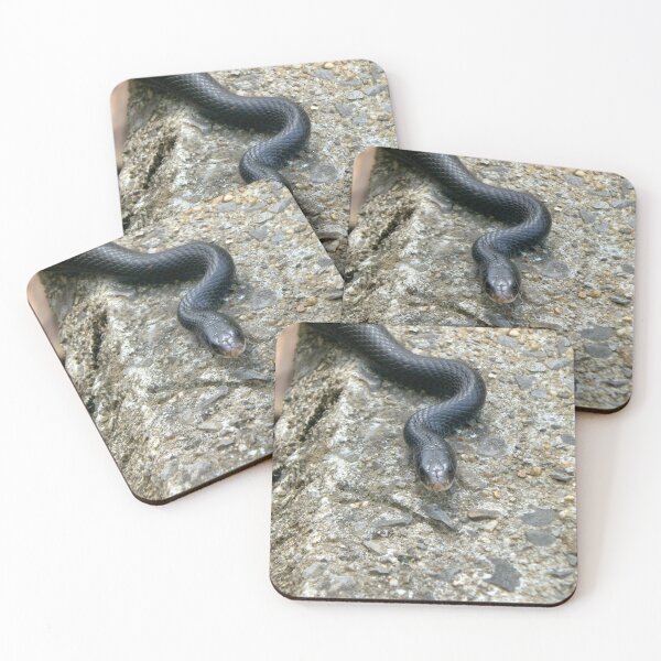 Item preview, Black Racer on the Prowl designed and sold by gistinker.