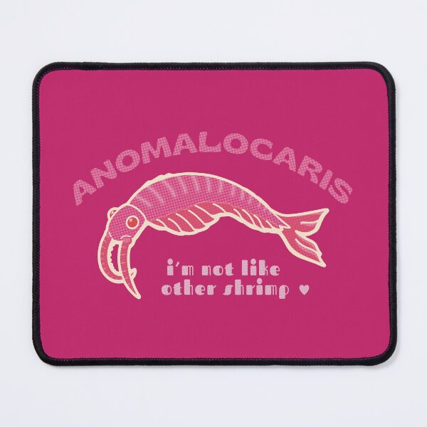 Item preview, Anomalocaris designed and sold by jillymakesart.