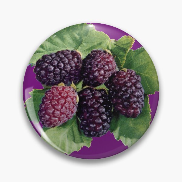 Item preview, For the Love of Boysenberries! designed and sold by TheBerryFarmer.