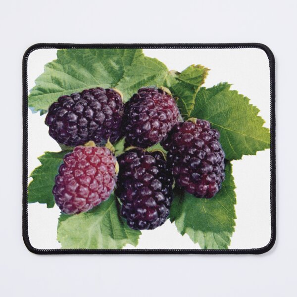 Item preview, For the Love of Boysenberries! designed and sold by TheBerryFarmer.