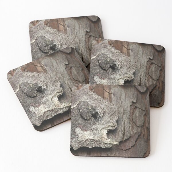 Item preview, Bark of a Outeniqua Yellowwood tree designed and sold by robdwildlife.