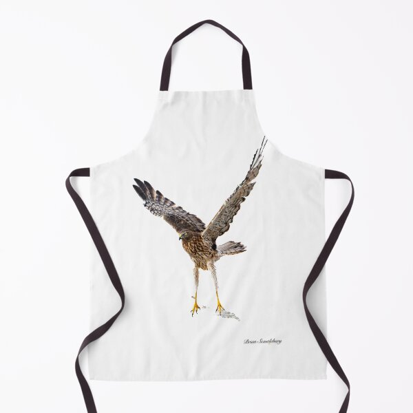 Item preview, Australasian harrier or Circus approximans taking-off from beach or ground with wing in actionTaking off Australasian harrier bird of prey designed and sold by Brian Scantlebury.