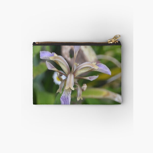 Item preview,  Foetidissima Stinking  Iris.............Lyme Regis. Dorset UK designed and sold by lynn carter.