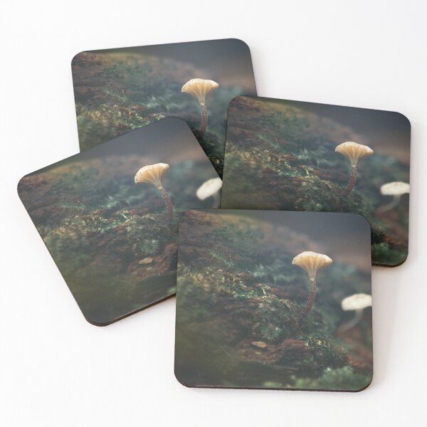 Item preview, Lichenomphalia umbellifera Mushroom designed and sold by robdwildlife.