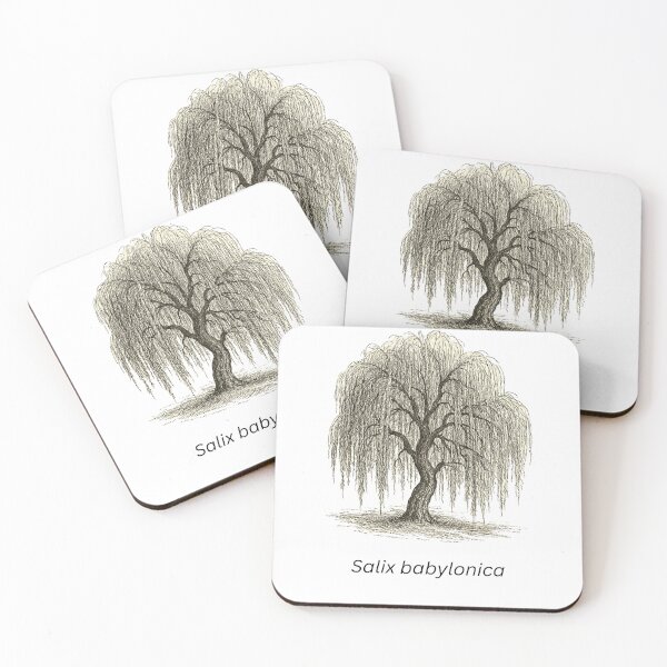Item preview, Weeping willow tree (salix babylonica) designed and sold by InnerWear.