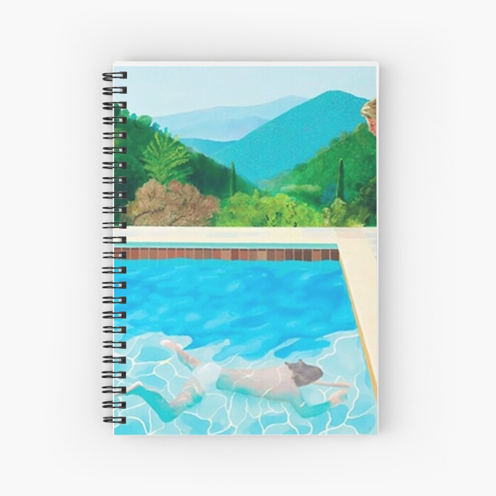 david hockney pool - two figures Art Print