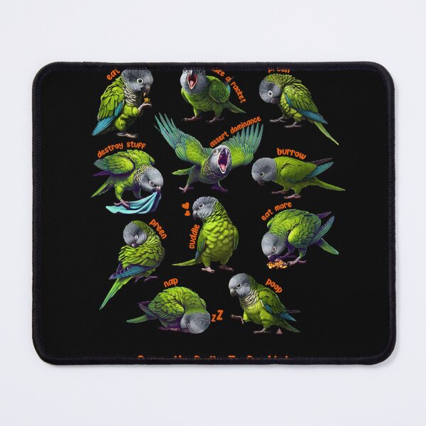 Item preview, Dusky Conure Daily To-Do List Parrot Lover Birding designed and sold by Kimberley King Art  King Art.
