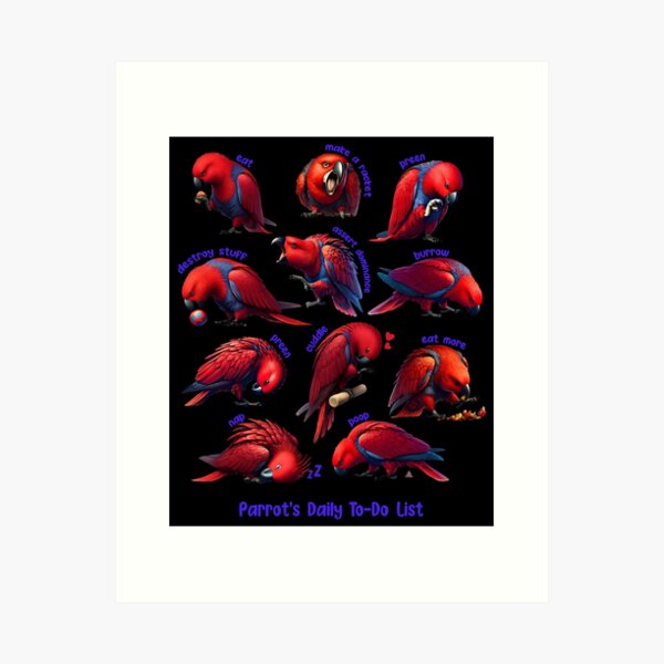 Item preview, Red Eclectus Daily To-Do List Parrot Lover Birding designed and sold by Kimberley King Art  King Art.