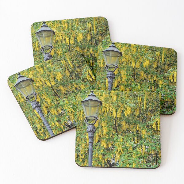 Item preview, Laburnum alpinum designed and sold by boogeyman.