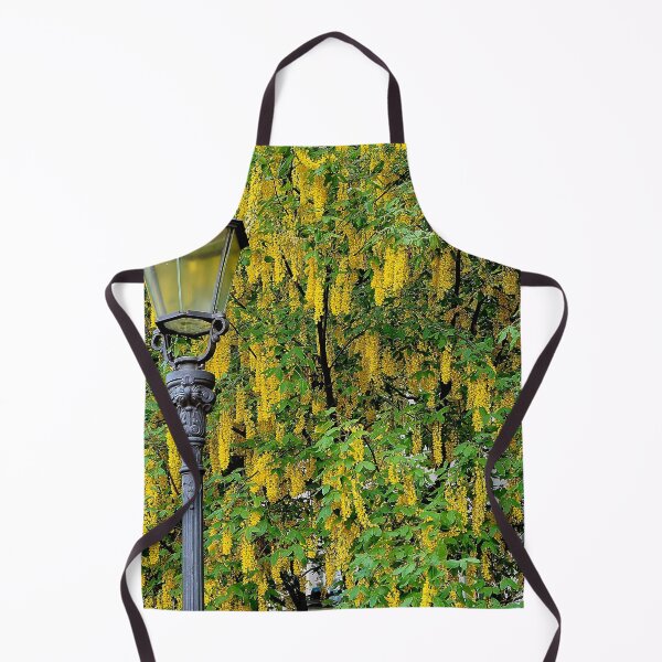 Item preview, Laburnum alpinum designed and sold by boogeyman.