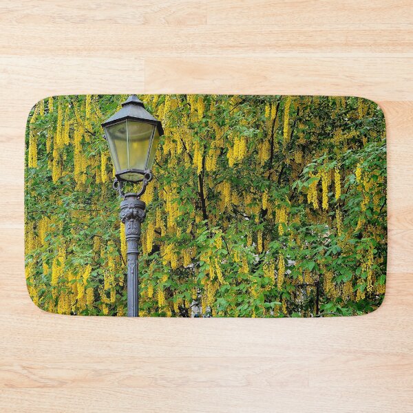 Item preview, Laburnum alpinum designed and sold by boogeyman.