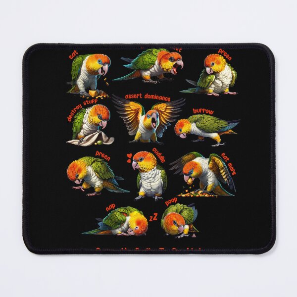Item preview, White Bellied Caique Daily To-Do List Parrot Lover Birding designed and sold by Kimberley King Art  King Art.