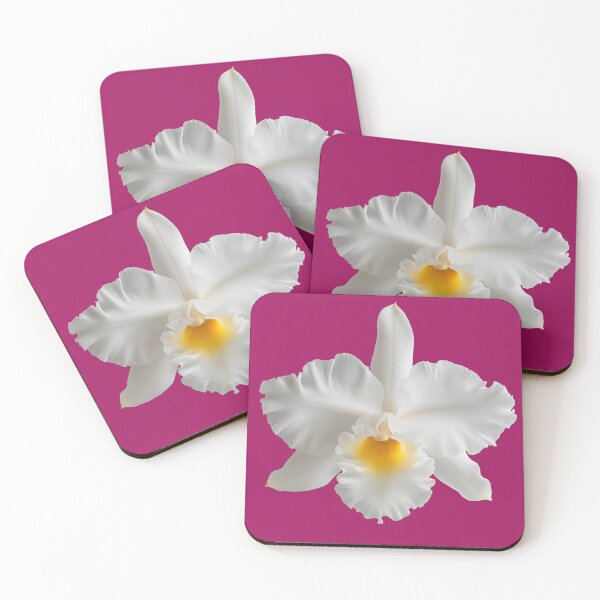 Item preview, White Cattleya orchids in full bloom designed and sold by FluffyGallery.
