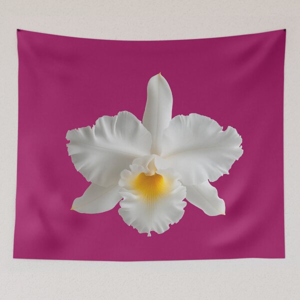 Item preview, White Cattleya orchids in full bloom designed and sold by FluffyGallery.