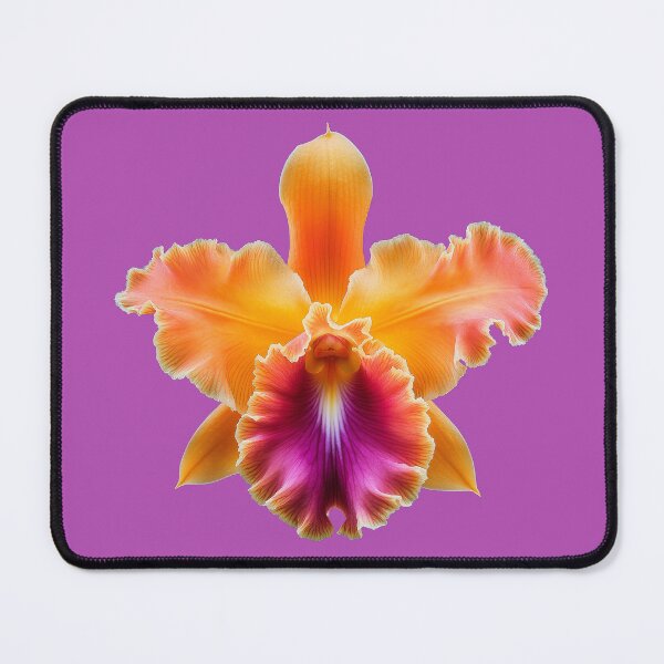 Item preview, Orange-yellow cattleya orchid flowers designed and sold by FluffyGallery.