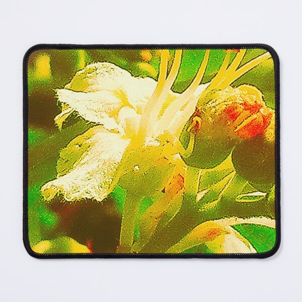 Item preview, Hope spring designed and sold by Academic Art Studio.