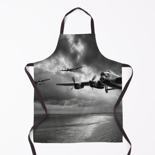 Item preview, Another Day Another Sortie designed and sold by Skyframe Aviation.
