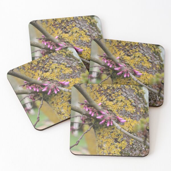 Item preview, Art by Mike Photography Photo Botany Flowers Moss on Tree Trunk designed and sold by allartbymike.