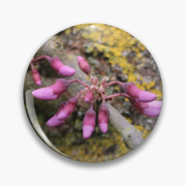 Item preview, Art by Mike Photography Photo Botany Flowers Moss on Tree Trunk designed and sold by allartbymike.