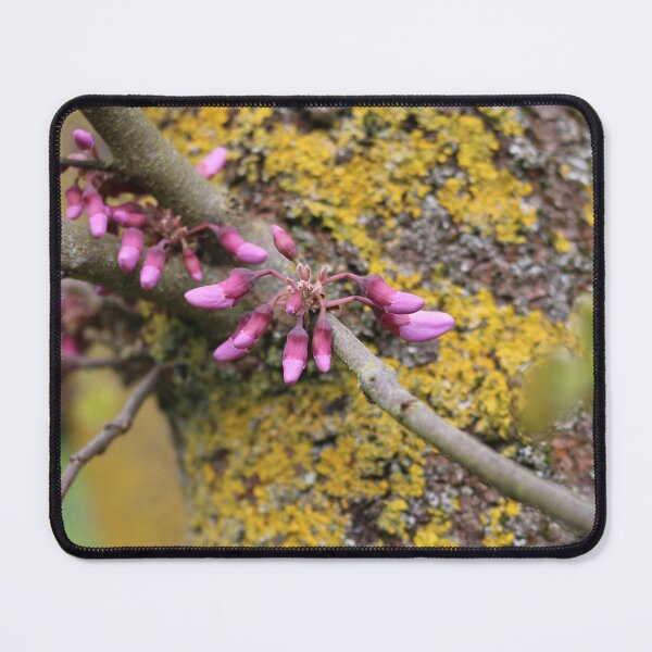 Item preview, Art by Mike Photography Photo Botany Flowers Moss on Tree Trunk designed and sold by allartbymike.