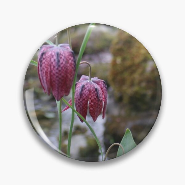 Item preview, Art by Mike Photography Photo Botany Flowers by the Stream Nature Photography designed and sold by allartbymike.